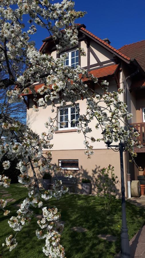Gite "Le Platane" 45 M2 - Climatise Monswiller Eksteriør bilde