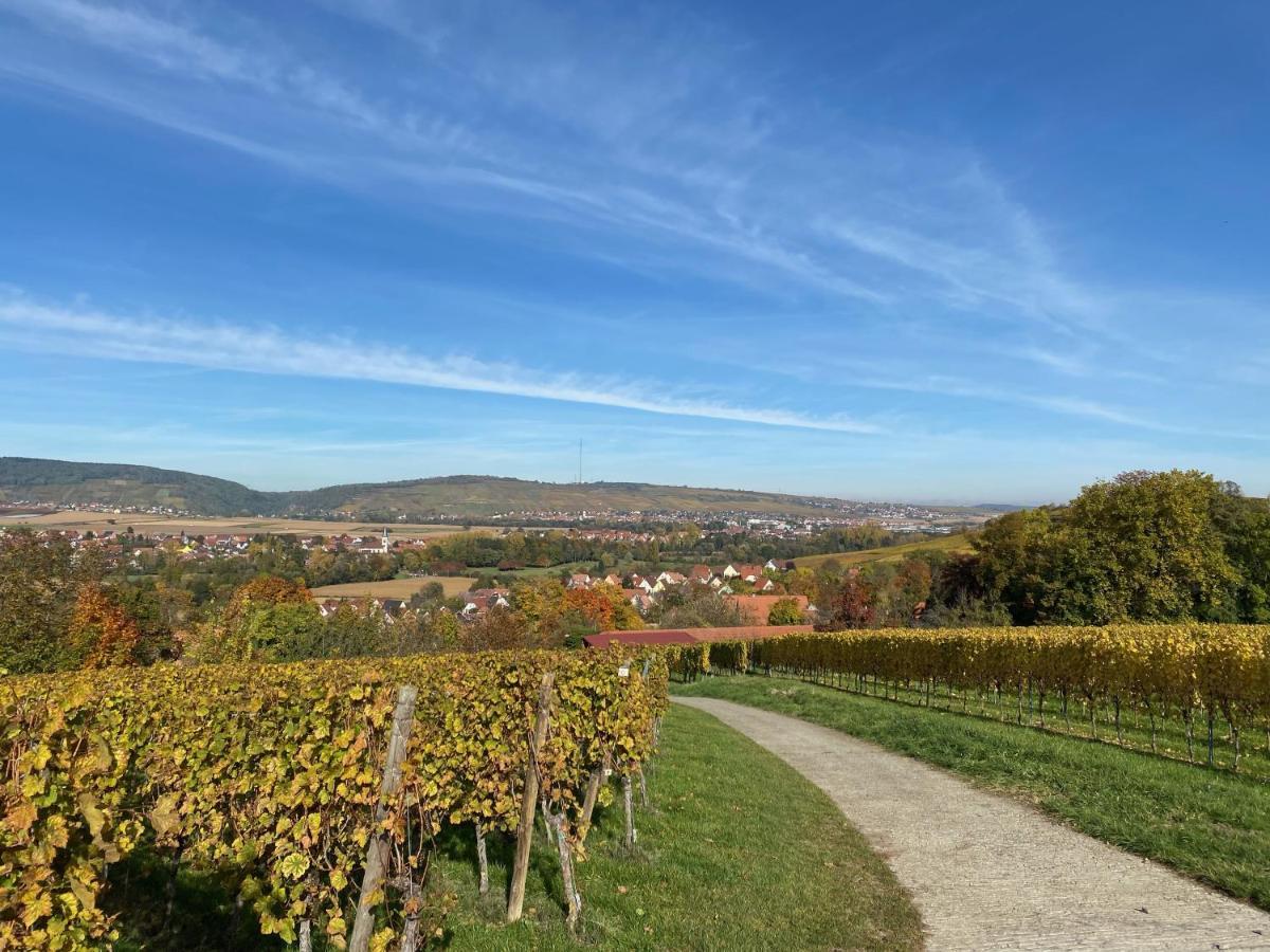 Gite "Le Platane" 45 M2 - Climatise Monswiller Eksteriør bilde