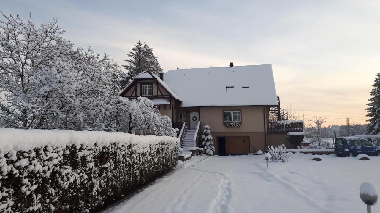 Gite "Le Platane" 45 M2 - Climatise Monswiller Eksteriør bilde